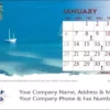 12 Page Desk Calendar