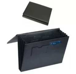 Executive File Portfolio
